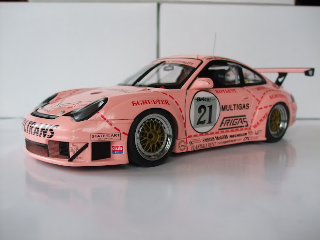 PORSCHE 911 (996) GT3 RSR PINK PIG 2006 NO.21 -RACE-