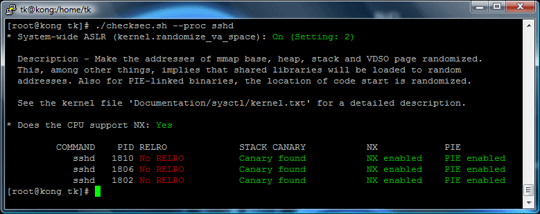 [checksec_nx_aslr.png]