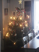 Vår julgran 2010