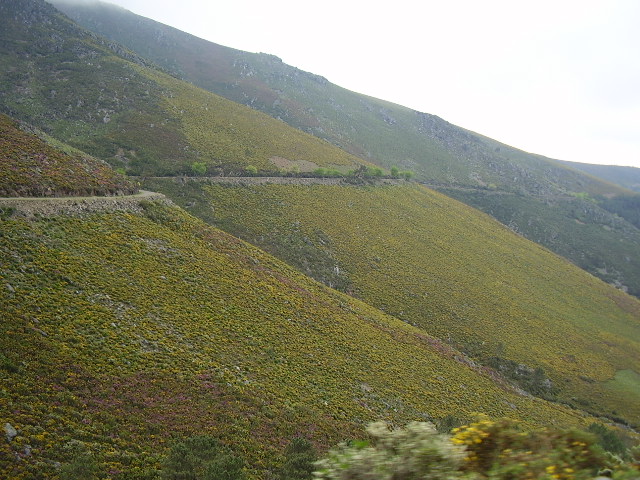 [P4290074.JPG]