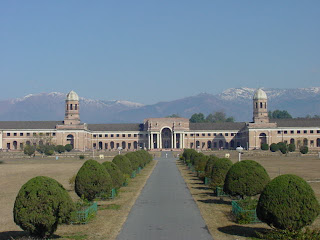 Forest Research Institute Life 360 - A blog of humor, nature and spirituality