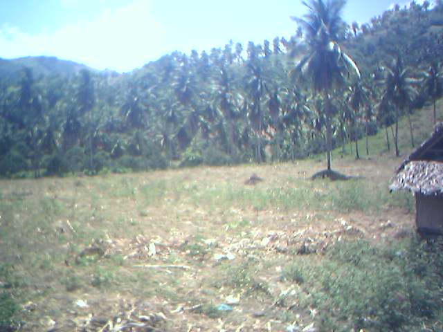 [09-22-07_1146.jpg]