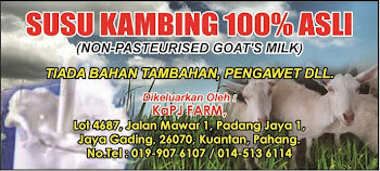 Susu Kambing Segar