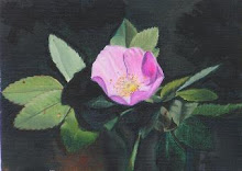 "Wild Rose Alberta"