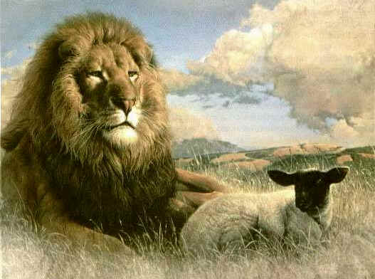 What Bible Verse Talks About The Lion And The Lamb