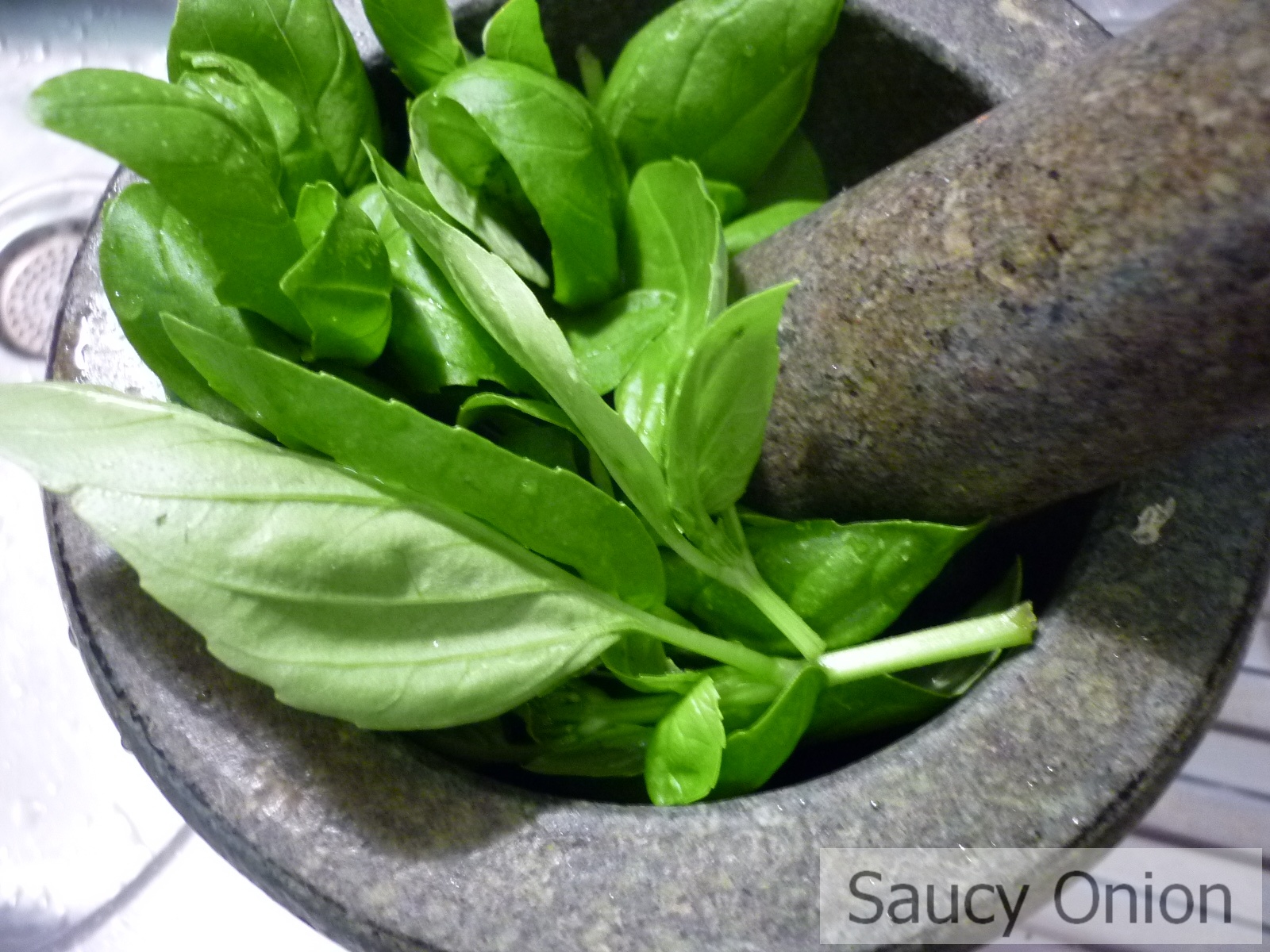 Saucy Onion Recipe Pesto Sauce