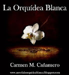 La orquídea blanca