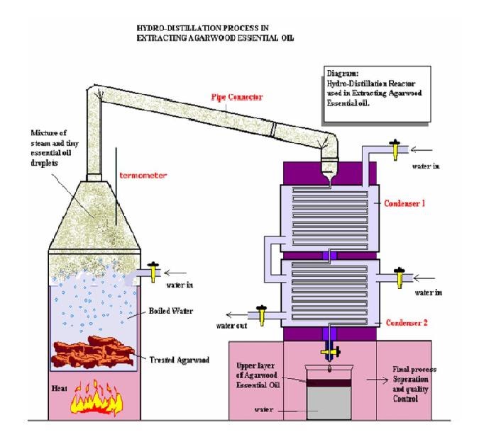 GaharuBorneo THE HYDRODISTILLATION PROCESS IN EXTRACTING AGARWOOD ESSENTIAL OIL DIAGRAM.