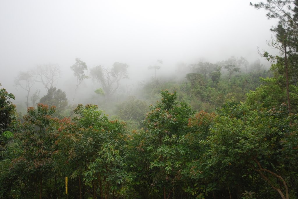 Sierra De Bahoruco