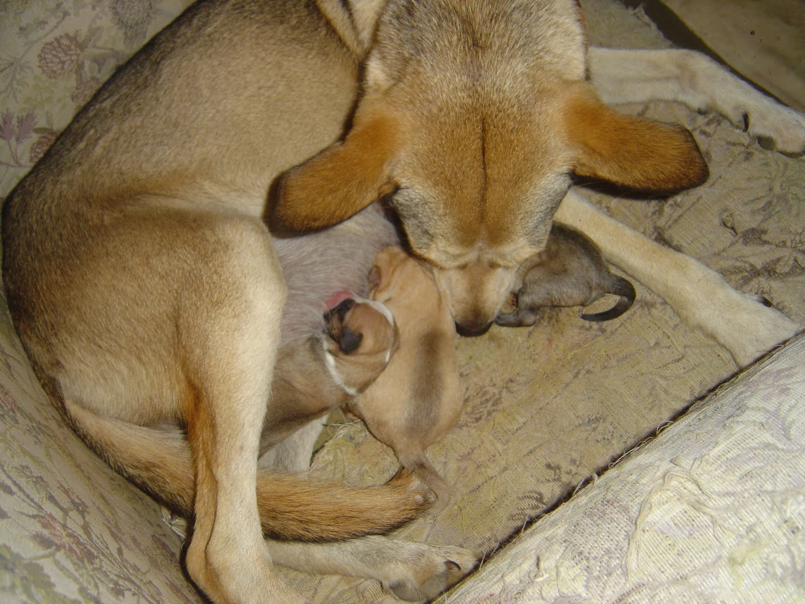 [DSC06360.JPG]