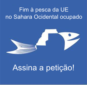 [Logo_fish_portuguese_Square.png]