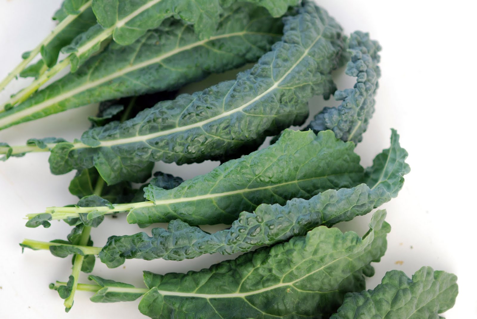 Vegetable Matter Flatbread with Crispy Lacinato Kale and Tarentaise Cheese