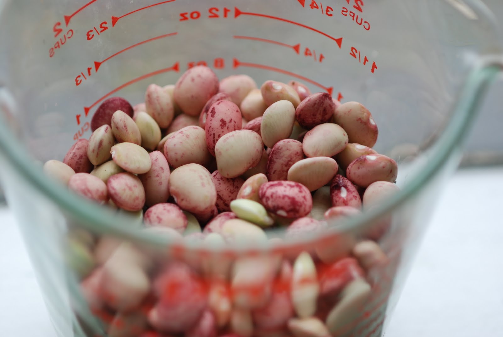 Vegetable Matter Get Growing in June