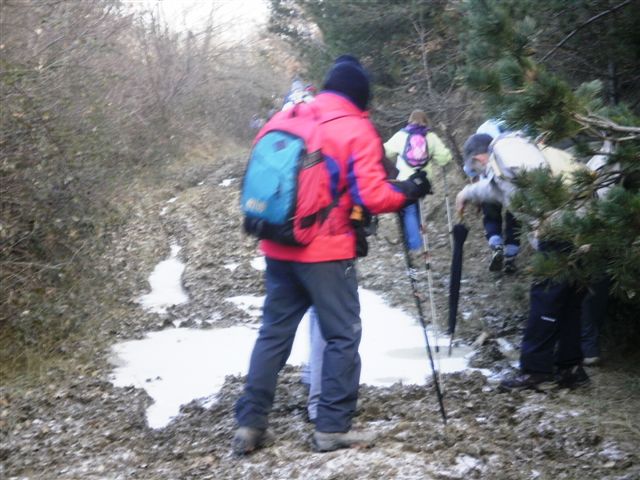 [P1270072.JPG]