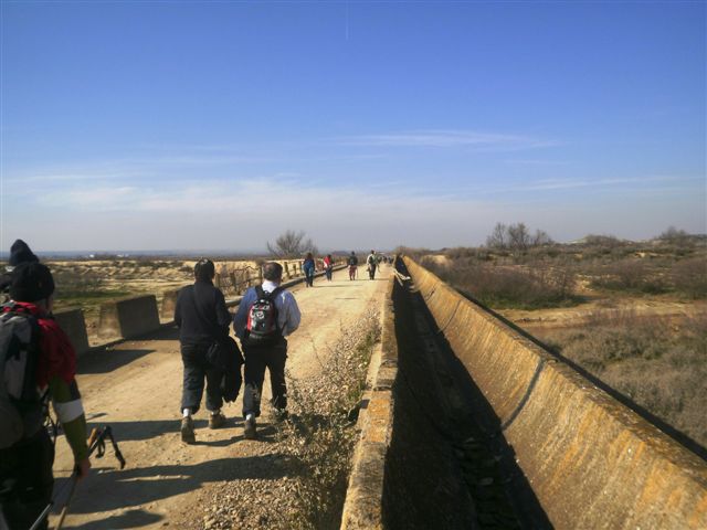 [P2030131.JPG]