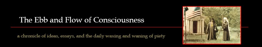 Flow of Consciousness