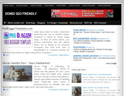 Denidi SEO Friendly Blogger Template