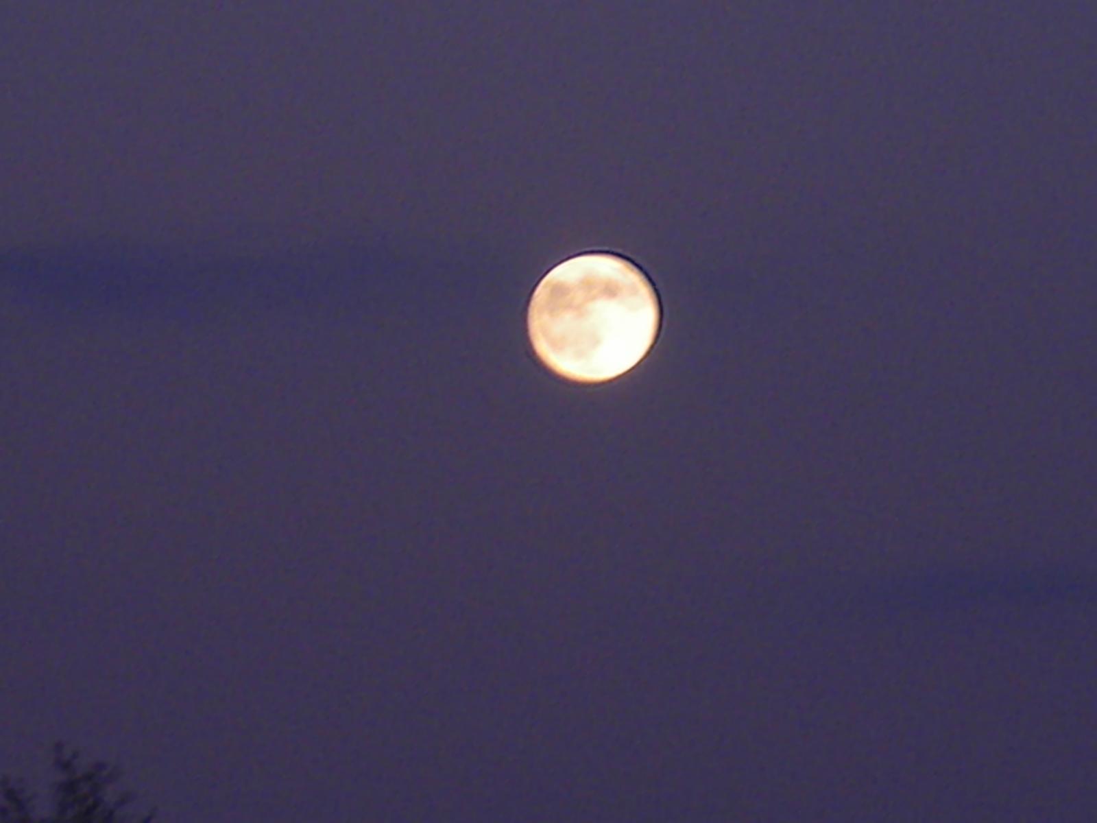 Oh Moon Youl