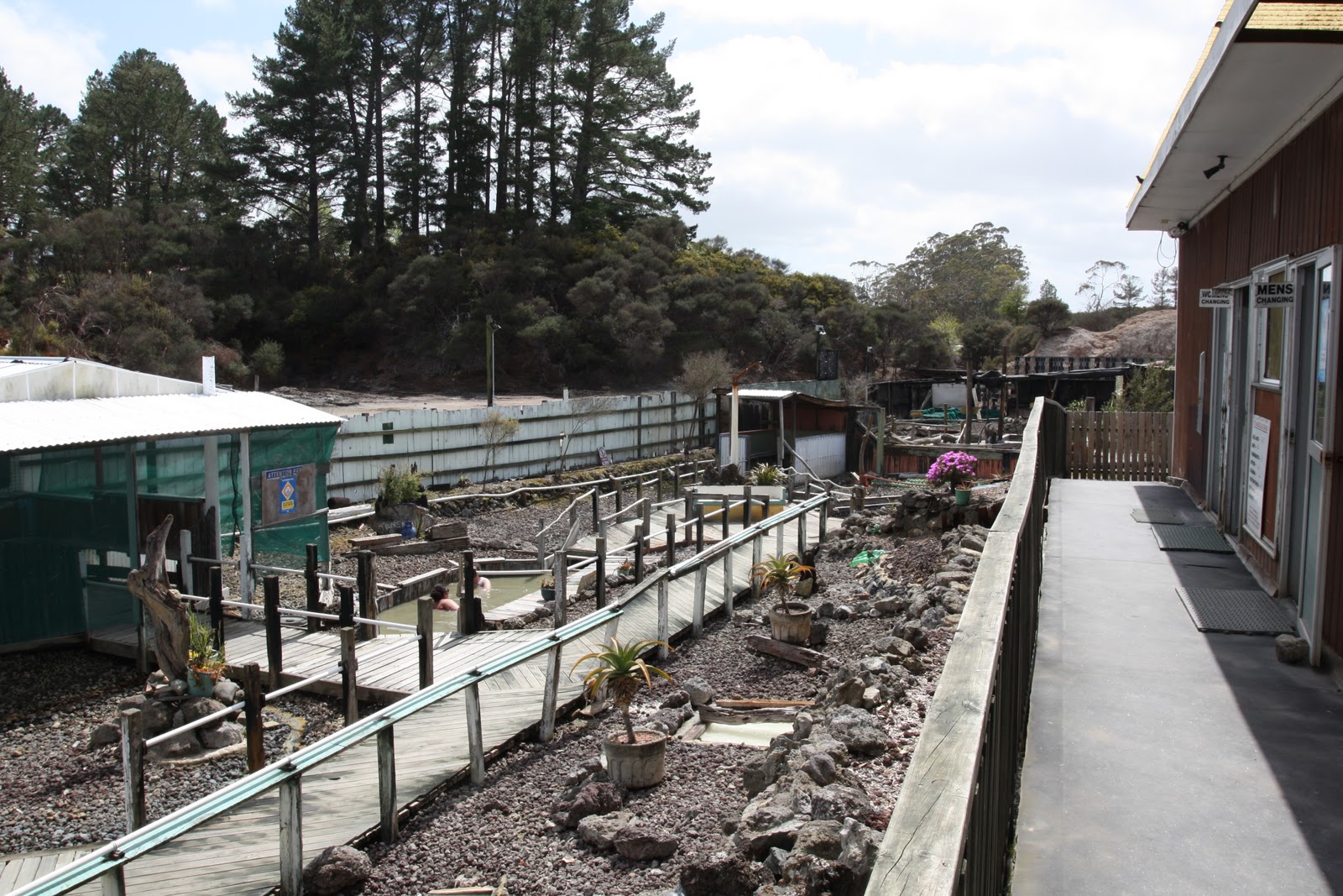 Ngawha Springs