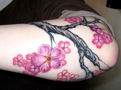  Tattoo Pictures on Best Tattoos Pictures  Pink Cherry Blossom Tattoos   The Biggest Free