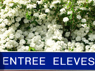 rencontre pont l eveque