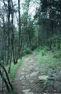 Hiking Trail in Kentucky