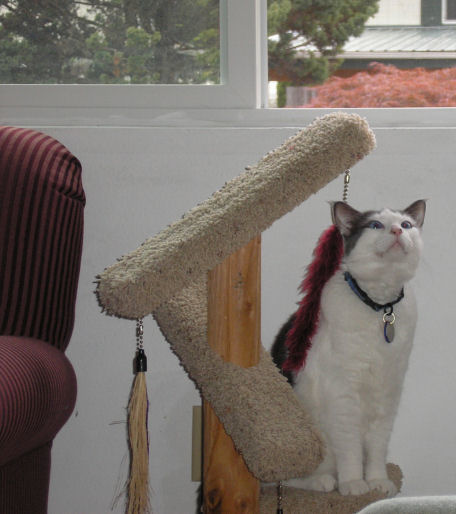 [Linus06-18-07-1.JPG]