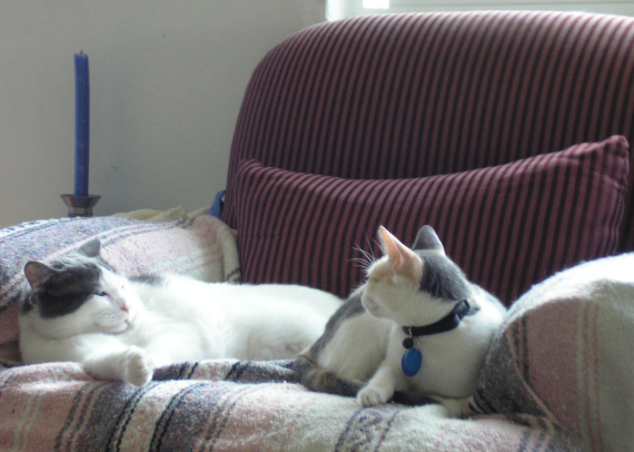 [Linus&Chloe-8-17-07-1.png]