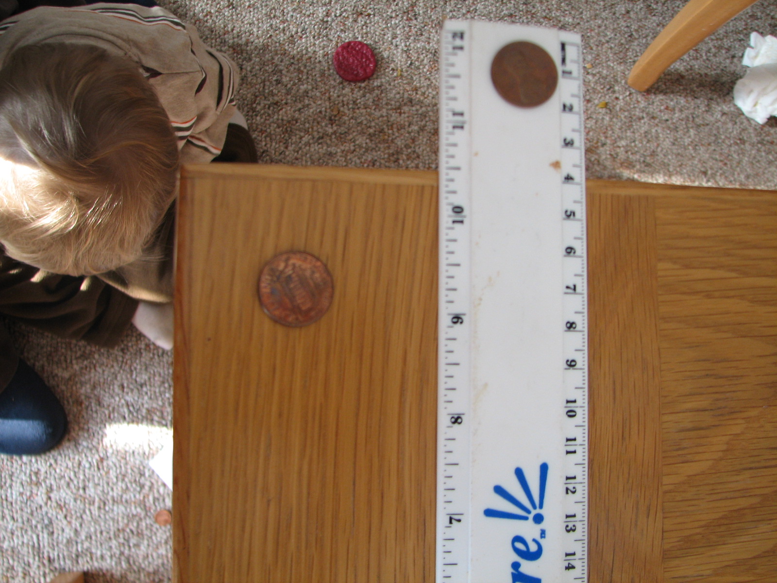 [20100111_2931.JPG]