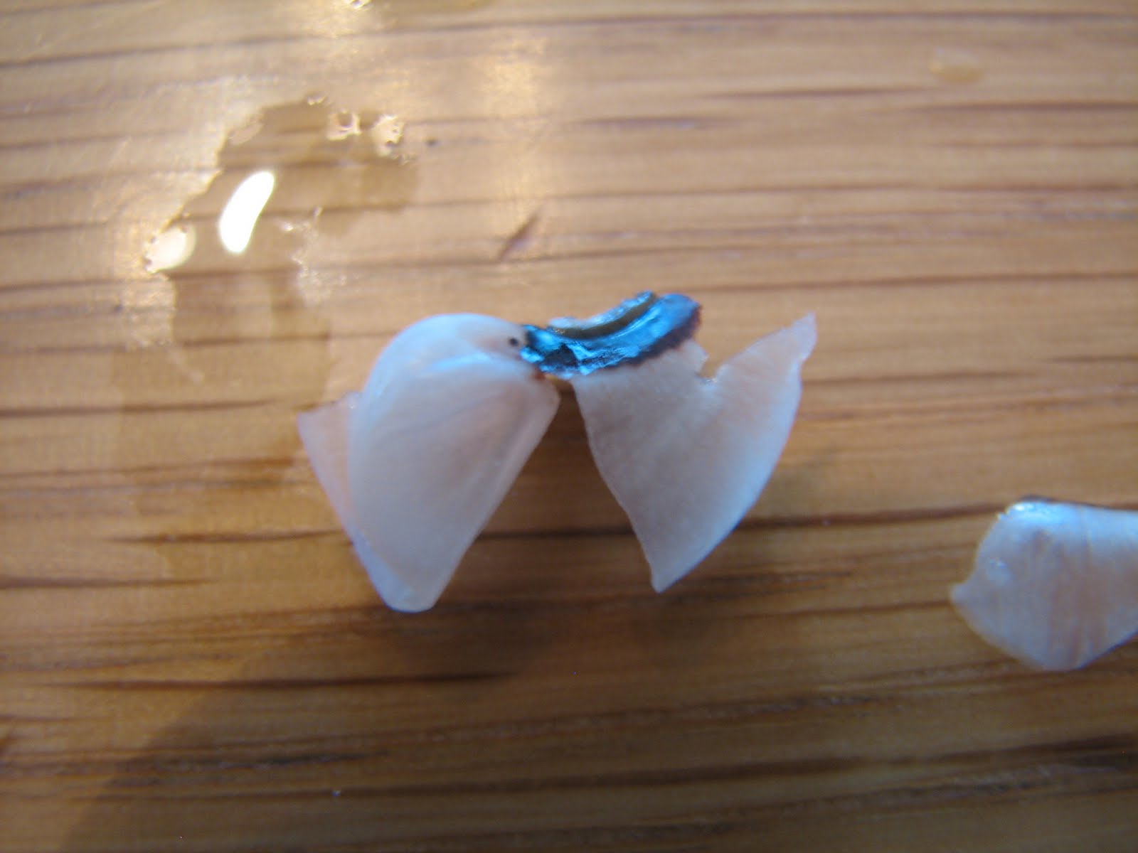 [20100128_3074.JPG]