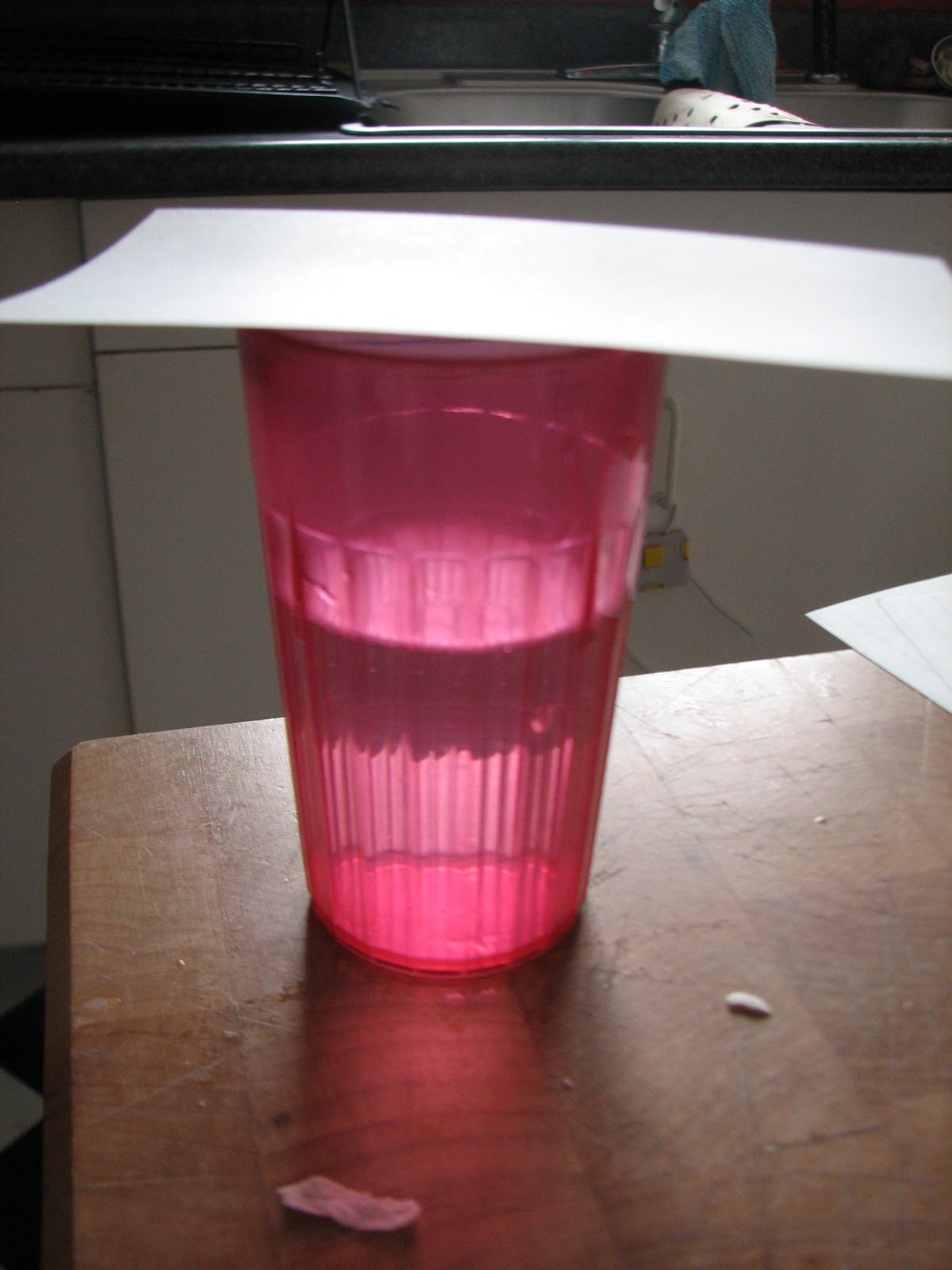 [20100314_3274.JPG]