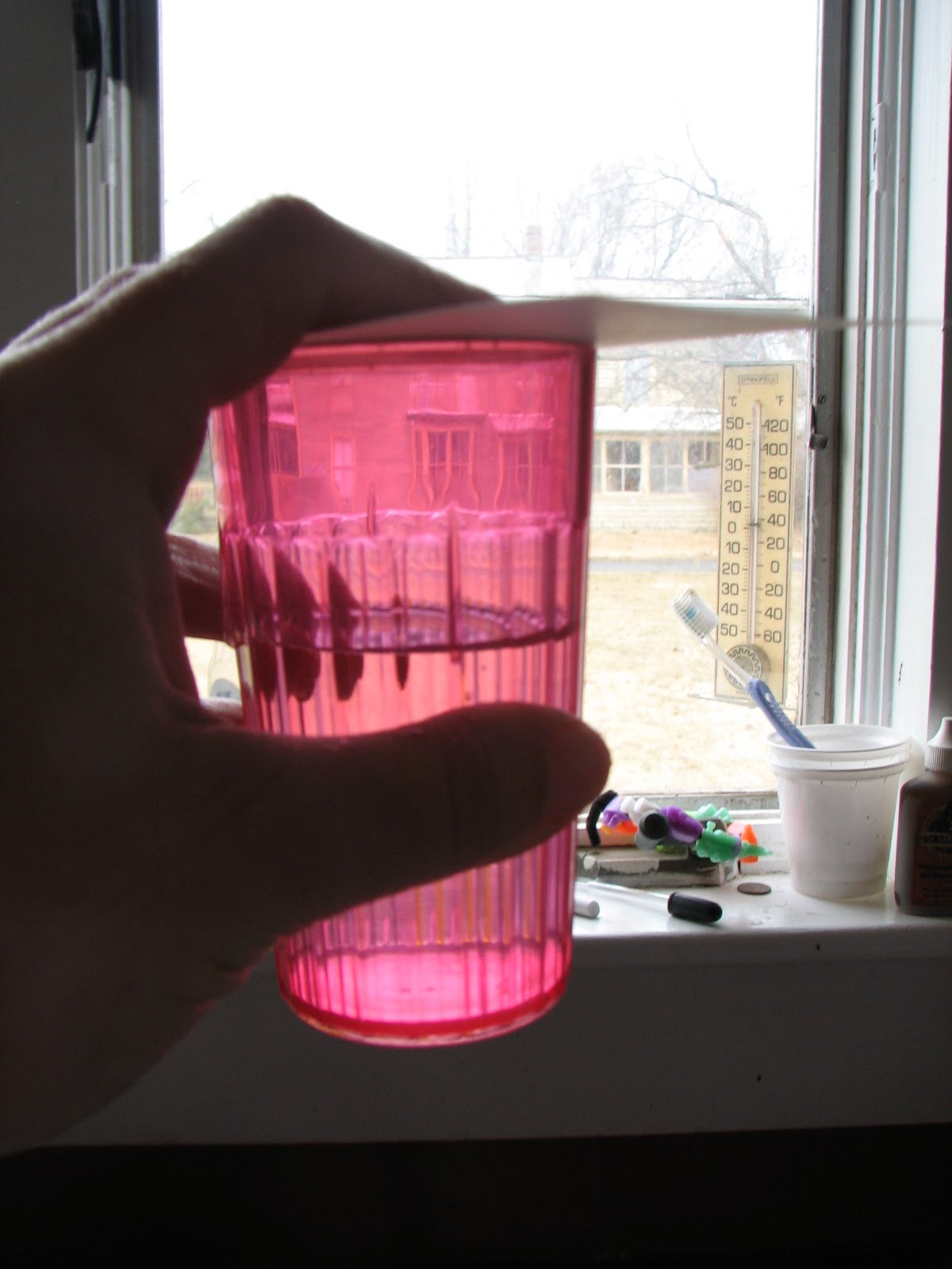 [20100315_3275.JPG]