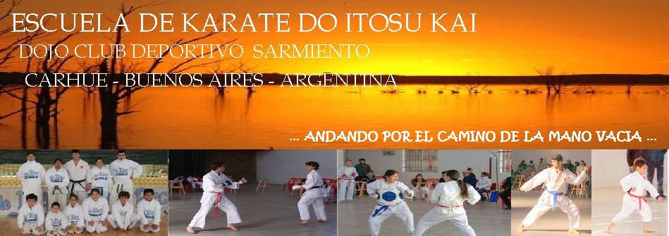 Actividades 2008