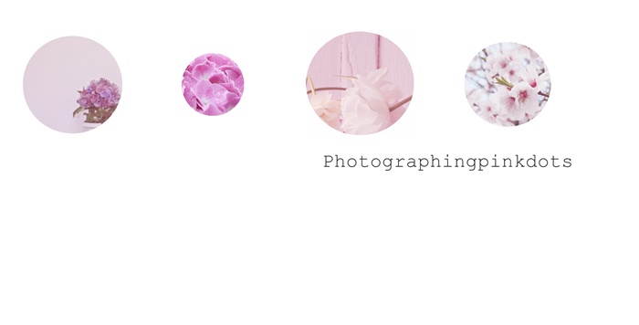 Photographingpinkdots