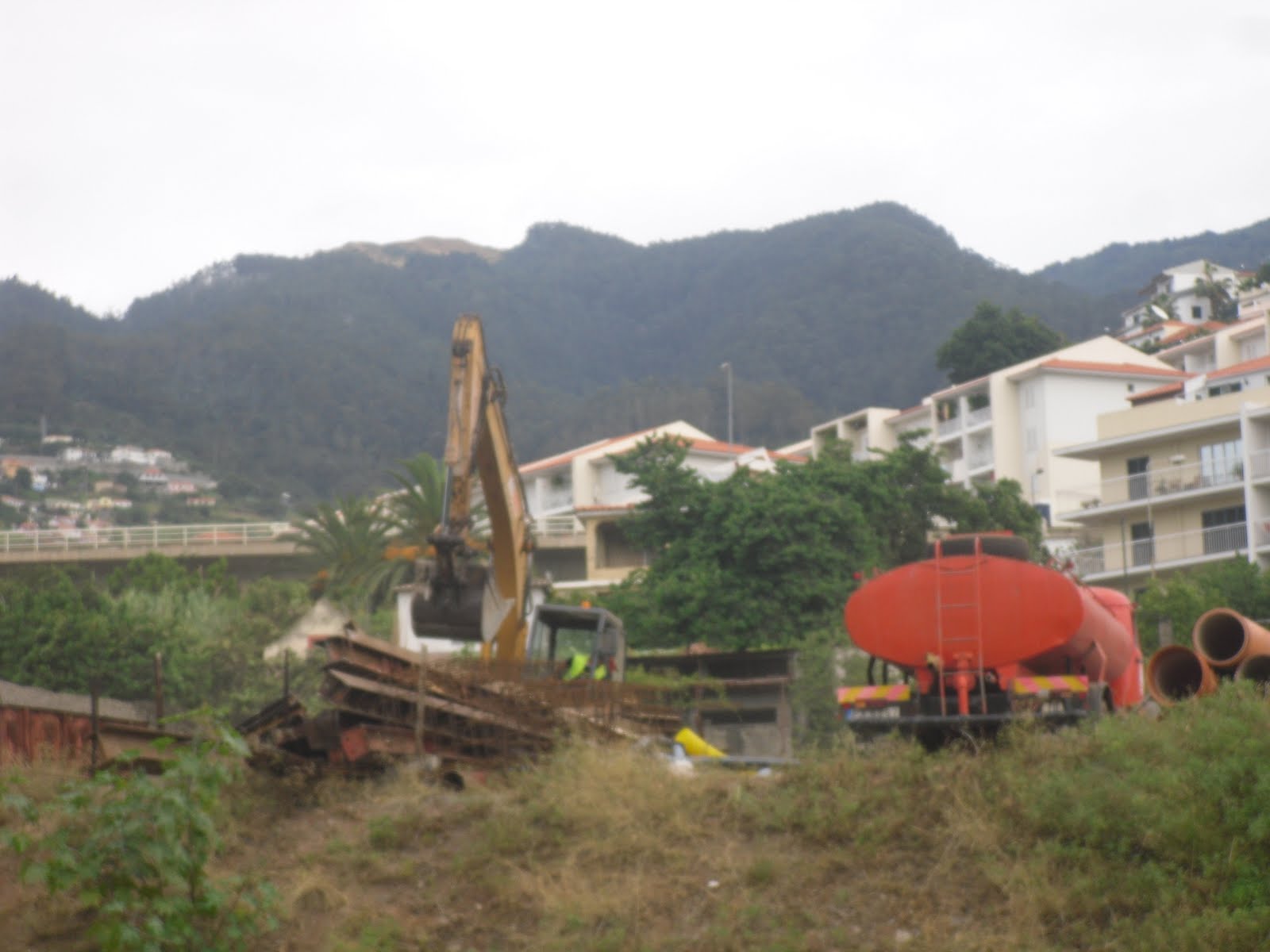 [SDC14214.JPG]