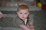 June 2010: Ready to crawl