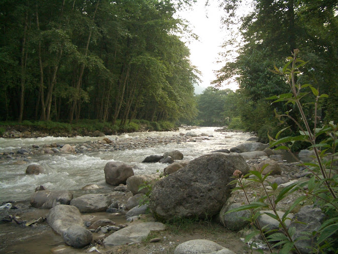 roodkhooneye 2000