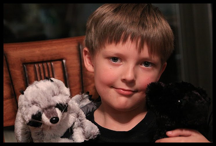 Happy Birthday Webkinz