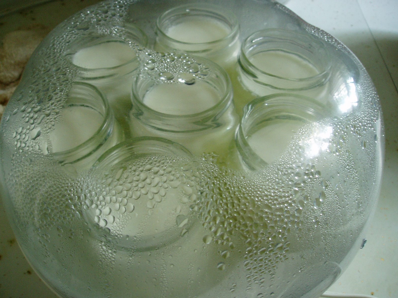 [P1010001.JPG]