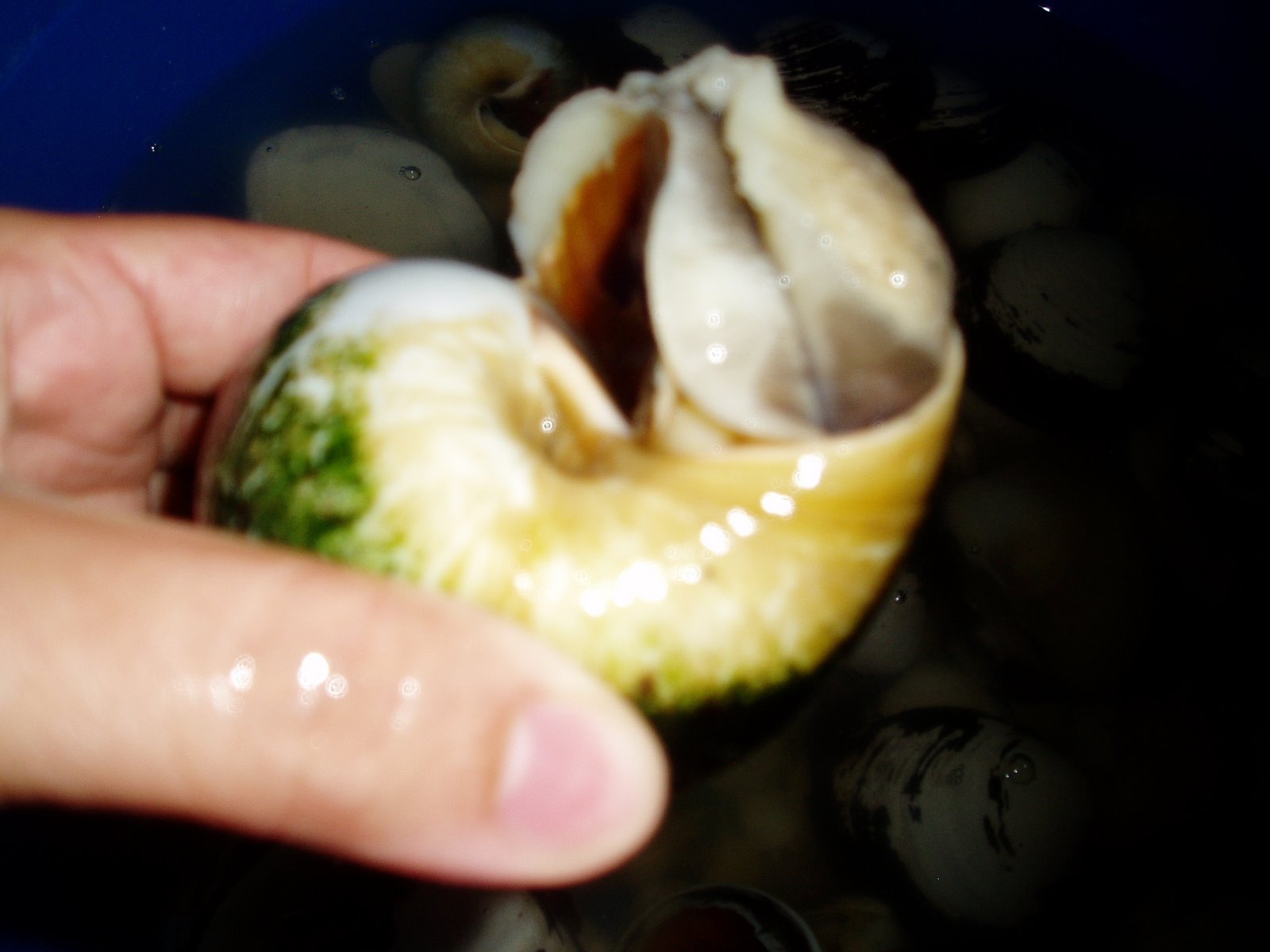 [P1010004.JPG]