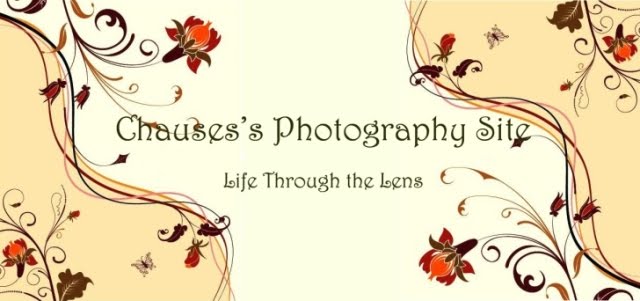 Chauses's Photography Site