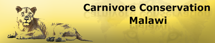 Carnivore Conservation Malawi