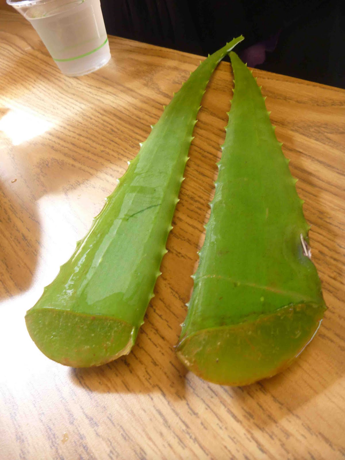 Mālama Learning Center WOW Introduction to La'au Lapa'au