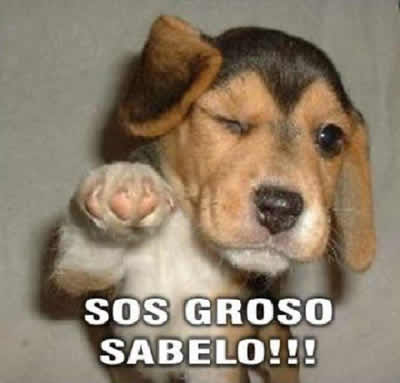 DOMINGO 10 DE JULIO DE 2011 POR FAVOR DEJEN SUS MJES. DIARIOS AQUÍ. GRACIAS!! Groso%5B1%5D
