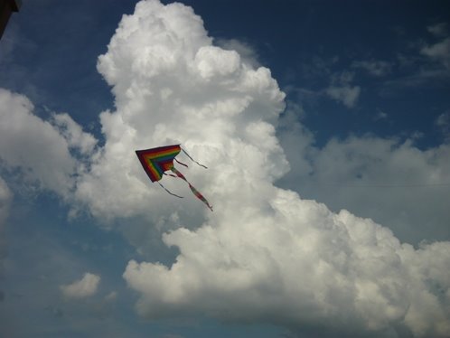 [kite3.JPG]