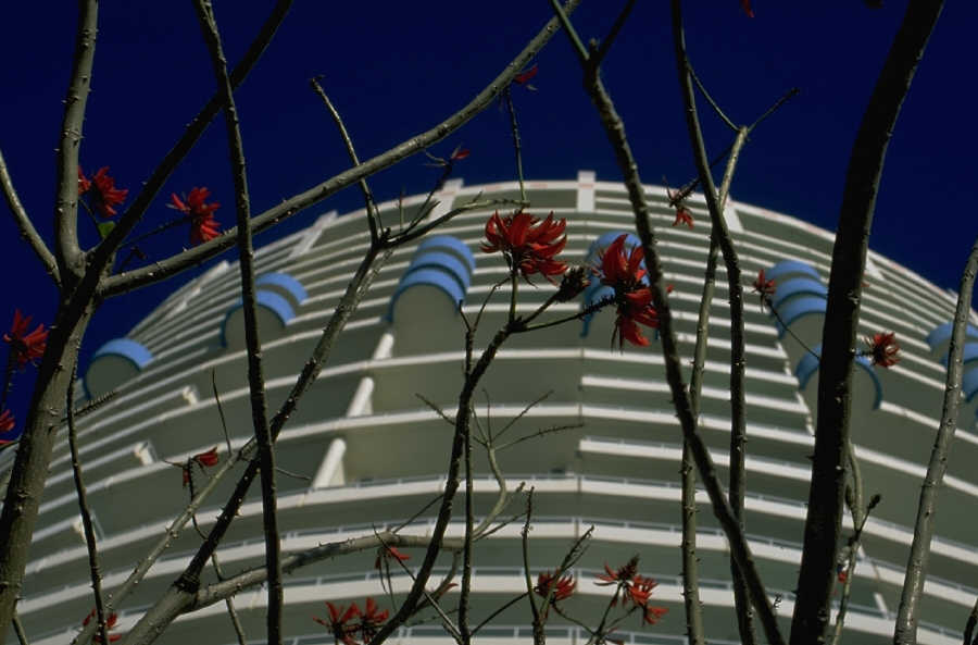[P0100002.JPG]