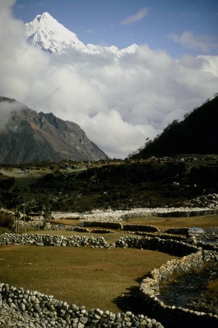 [P0302809.JPG]