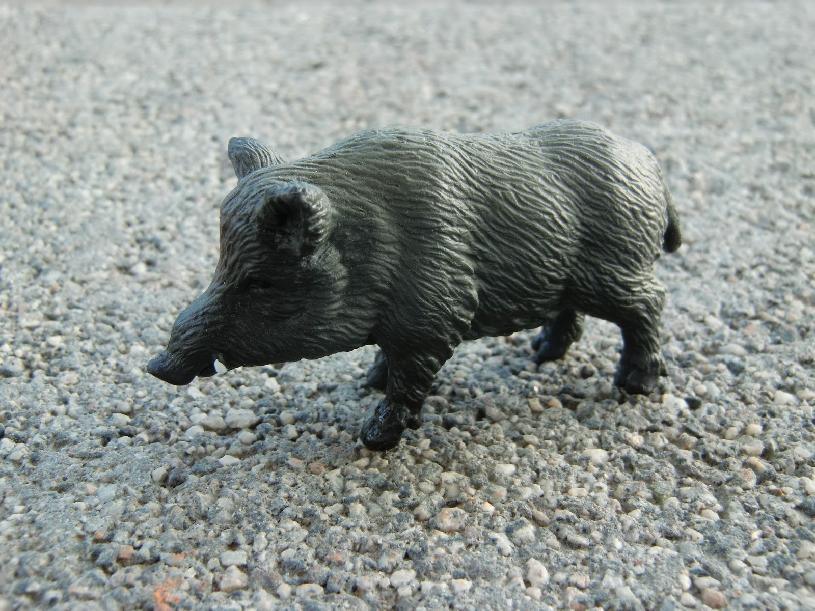 Schleichgirl: Wild Boar