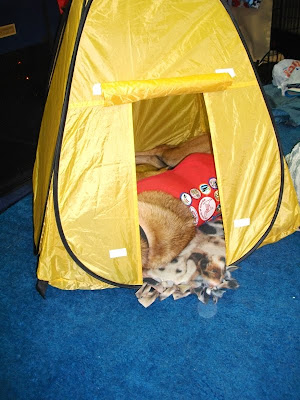 Image result for hiding in the tent