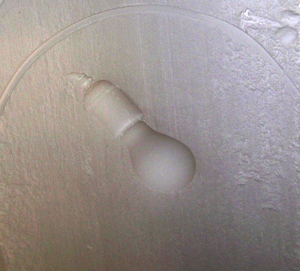 [sean.hennessey.lightbulb.JPG]